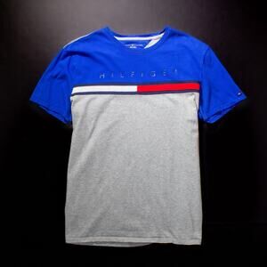 Tommy Hilfiger Crew neck T shirt Size L Blue/Gray